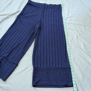 NWT Zara Trafaluc Blue Culottes